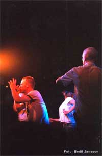 Hstturn 2004 del II ... (lund kpenhamn malm visby)