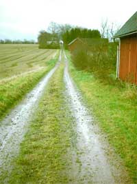 Hstturn 2004 del II ... (lund kpenhamn malm visby)