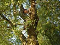 Sommarturn 2005 del V ... (karlskrona land)
