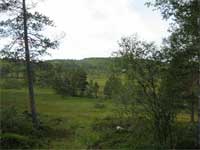 Sommarturn� 2006 del I ... (hven orust trondheim)