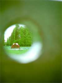 V�rsommar 2007 ... (malm� europa)
